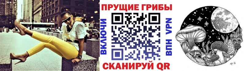 Купить закладки  Елизаветинская  Псилоцибиновые грибы ЛСД 