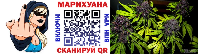 Купить закладки  Елизаветинская  Канабис сатива 